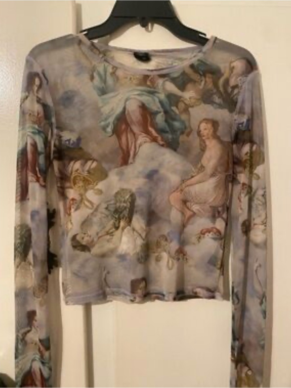 Urban Outfitters Sheer Renaissance Artwork Long-Sleeve Top - Light Blue & Cream